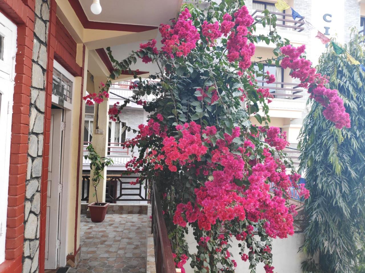 Hotel Angel Pokhara Zewnętrze zdjęcie